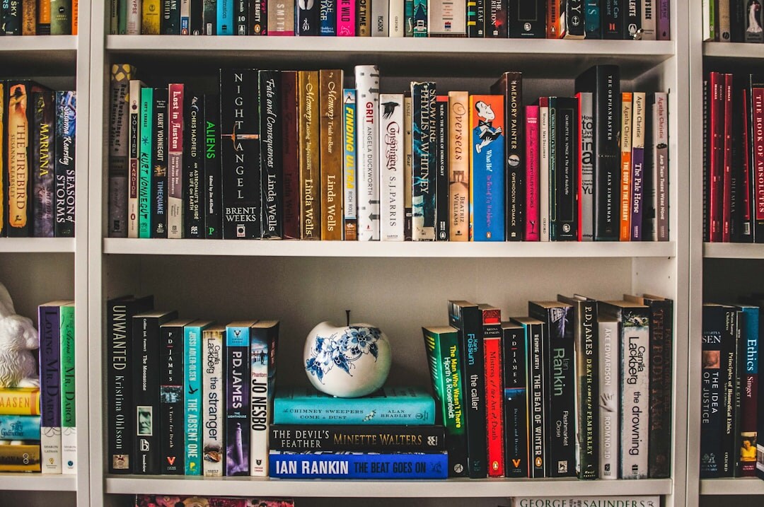 bookshelf full of novels